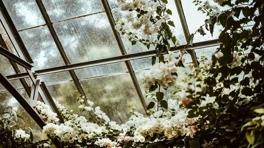 Cerramientos de vidrio para jardín en Torreón